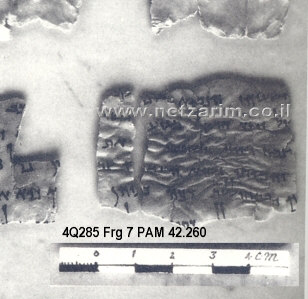 DSS 4Q285, Fragment 7 RAM 41.282